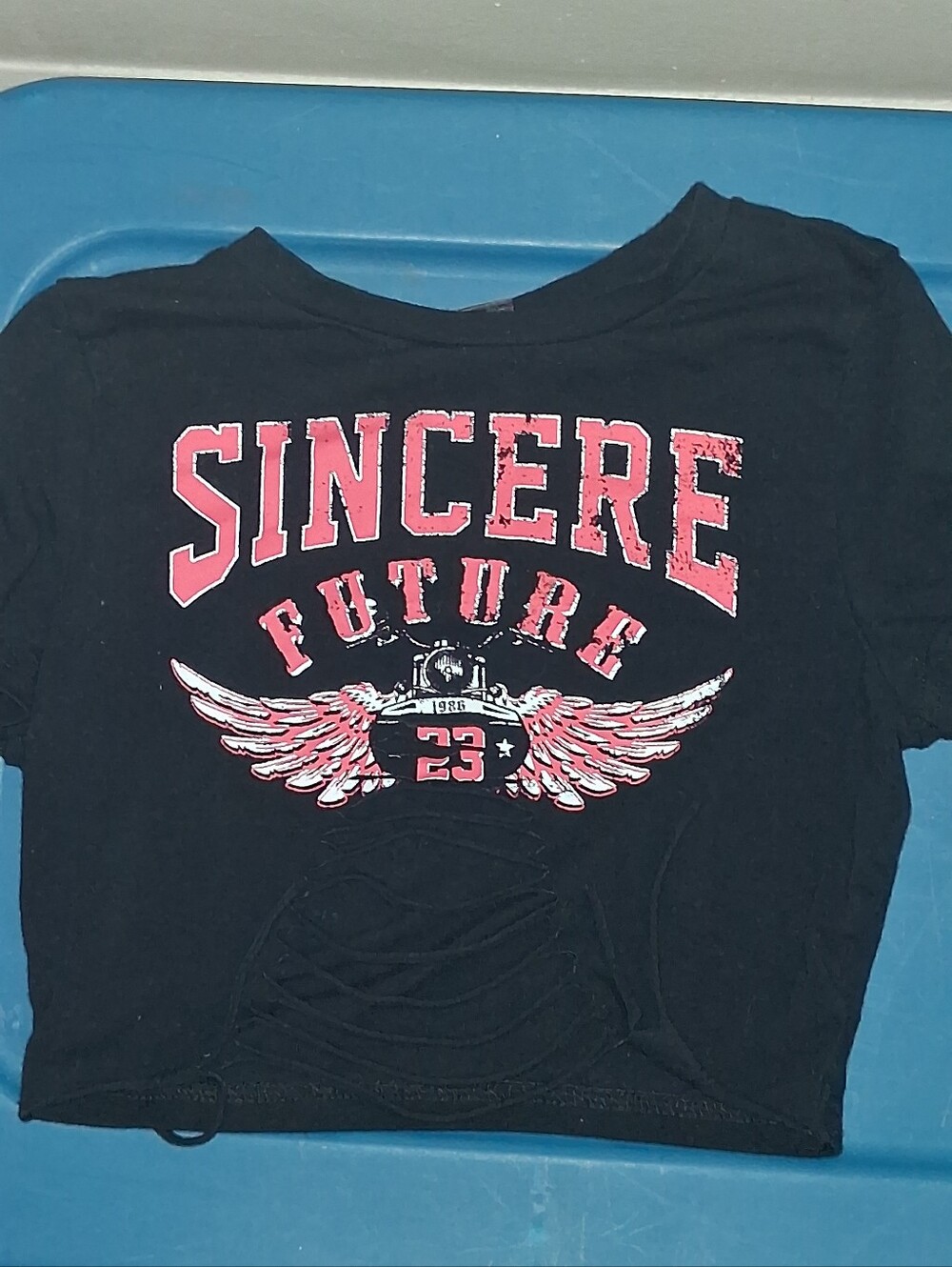 Sincere Future Winged Graphic Crop Tee - Black & Pink